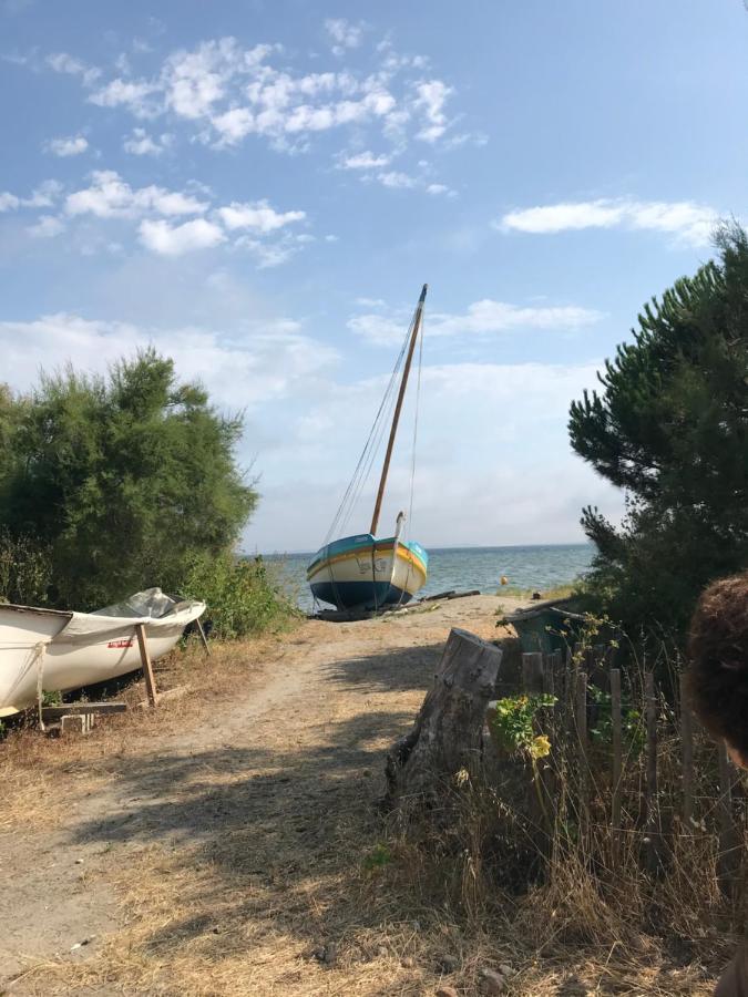 Le Gite Des Tontons Saint-Laurent-de-la-Salanque Exterior foto